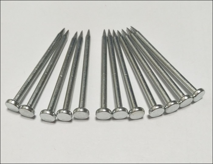 Full Round Head, Polished Common Nails 