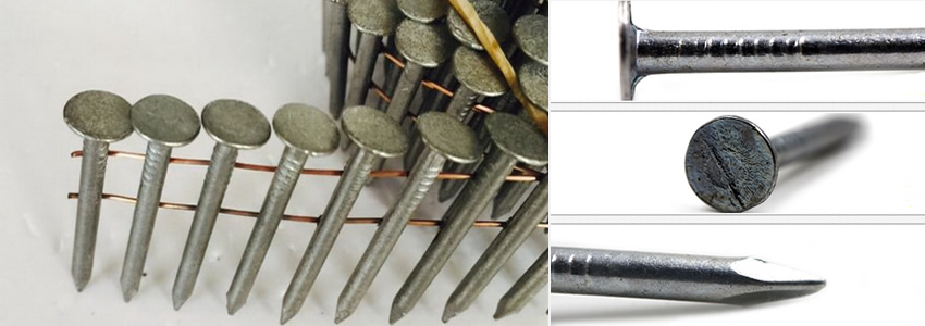 Stainless Steel Nails for Asphalt Tile Roofing Fastening with Flat Head