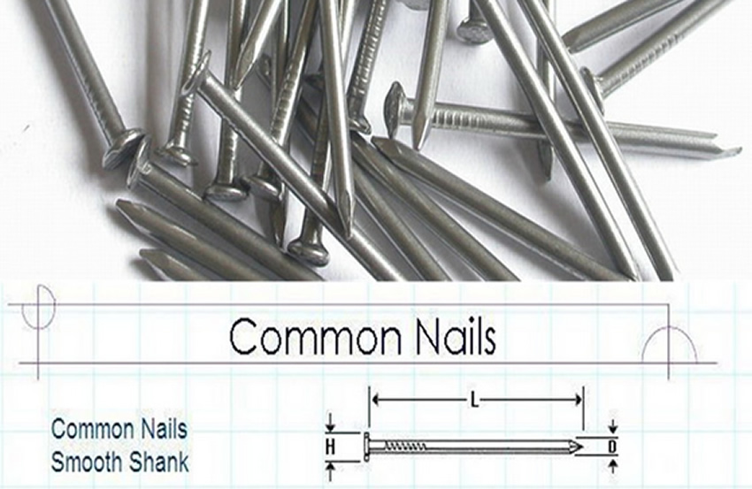 Polished Steel Common Nails with Smooth Shanks