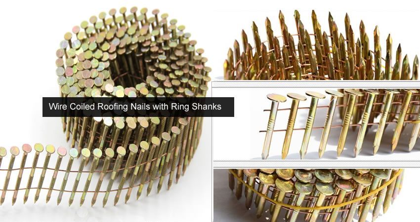 Wire Nails with Ring Shanks for Construction of Roof Tarpaulins 